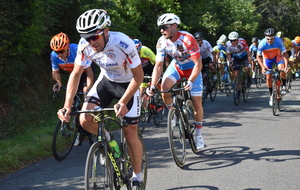 6140f417114b3_DSC0688.JPG