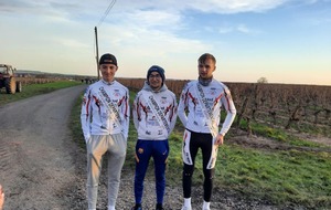 CX BRION-PRÈS-THOUET (79)