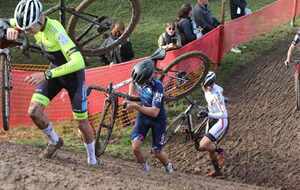 CX ALBI [FFC] (81)