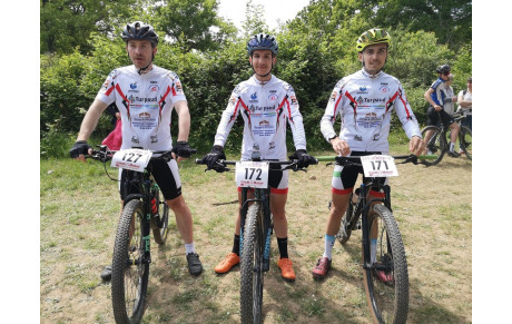 SECTION VTT 